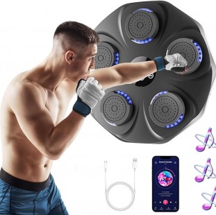 جهاز الملاكمة السداسي